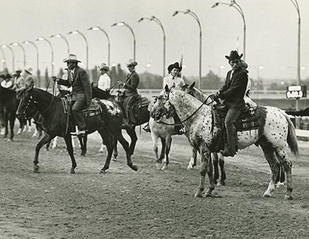 Pleasure Horse Entries at Kiwanis Horse Show, 28 July 1971 · St ...